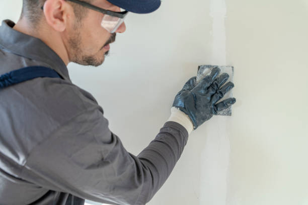 Best Mold-Related Health Consultation  in Hudson, MI