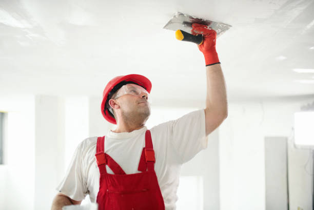 Best Mold Removal for HVAC Installations  in Hudson, MI