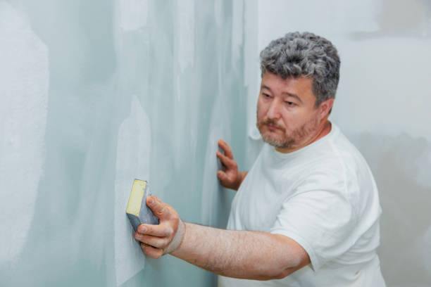 Best Asbestos and Lead Testing During Mold Inspection  in Hudson, MI