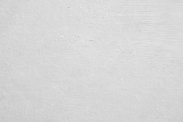 Best Attic Mold Removal  in Hudson, MI
