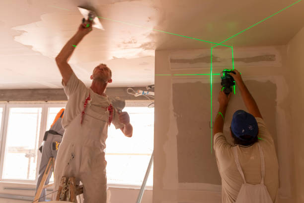 Best Attic Mold Removal  in Hudson, MI