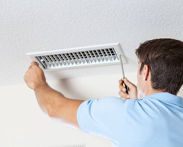 Best Mold Prevention Services  in Hudson, MI