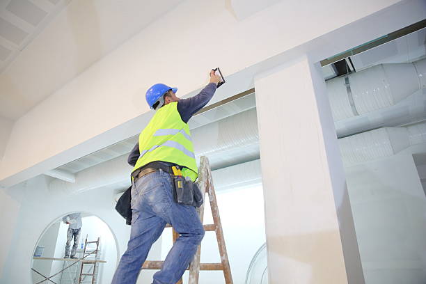  Hudson, MI Mold Removal Pros