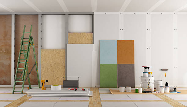Best Mold Damage Restoration  in Hudson, MI