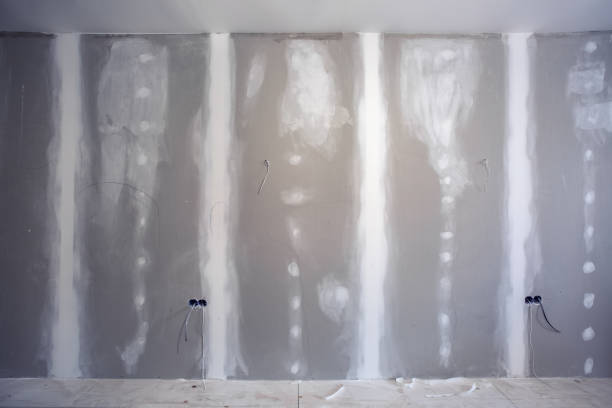Best Comprehensive Air Testing for Mold Contaminants  in Hudson, MI